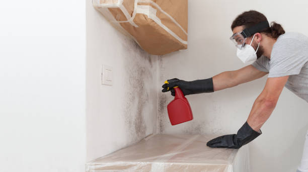 Professional Hvac And Air Duct Mold Remediation technician working in Quincy, MA